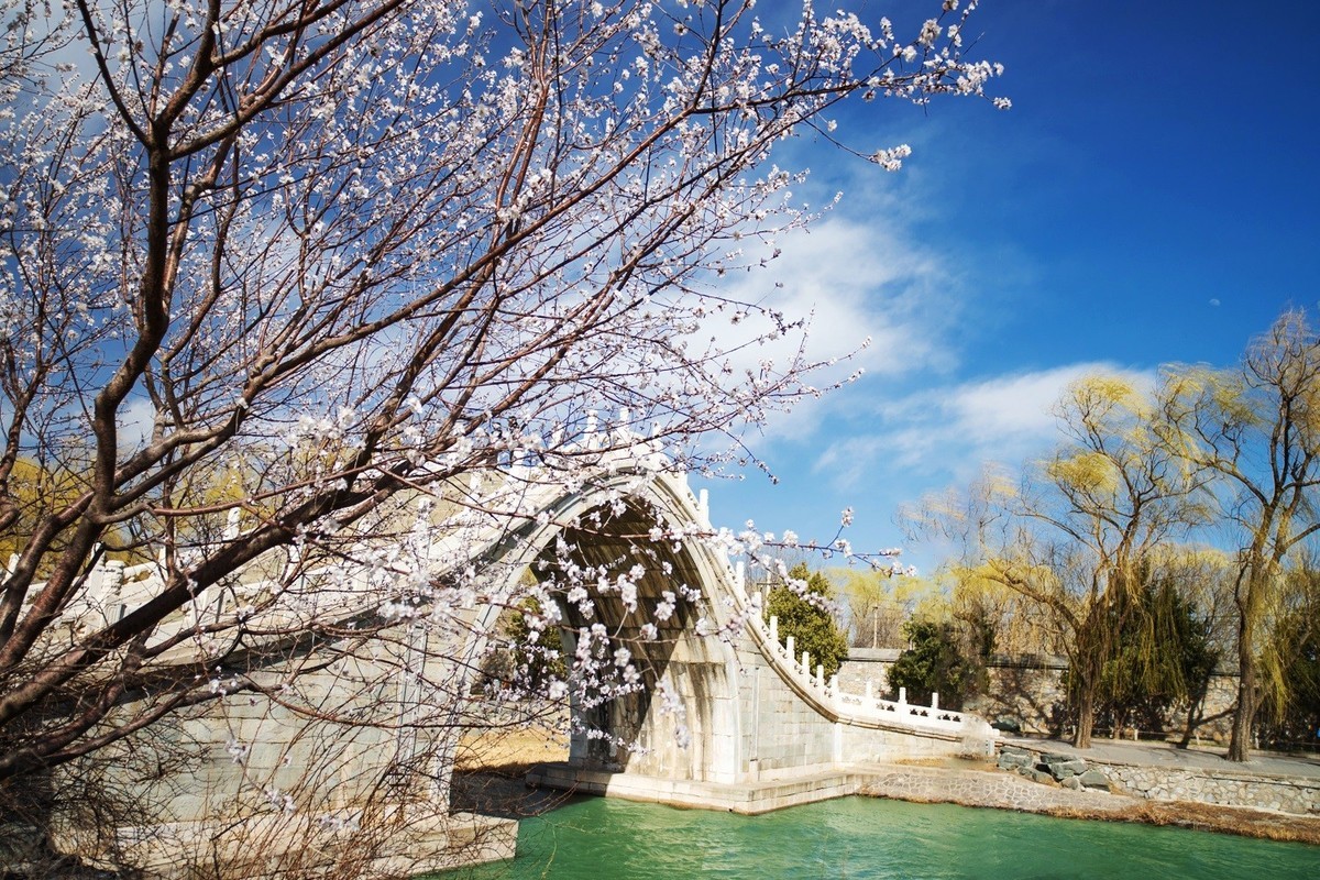 满园深浅色, 照在绿波中。