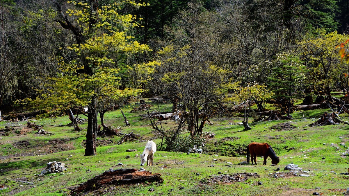 川西风光（二）