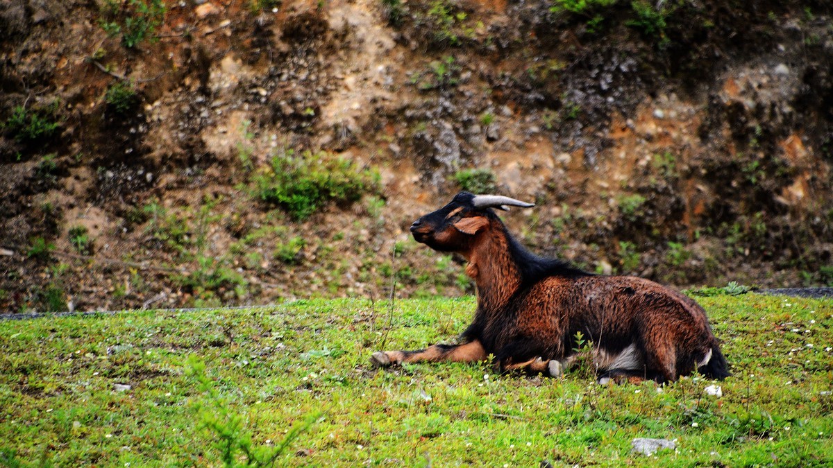川西风光（二）