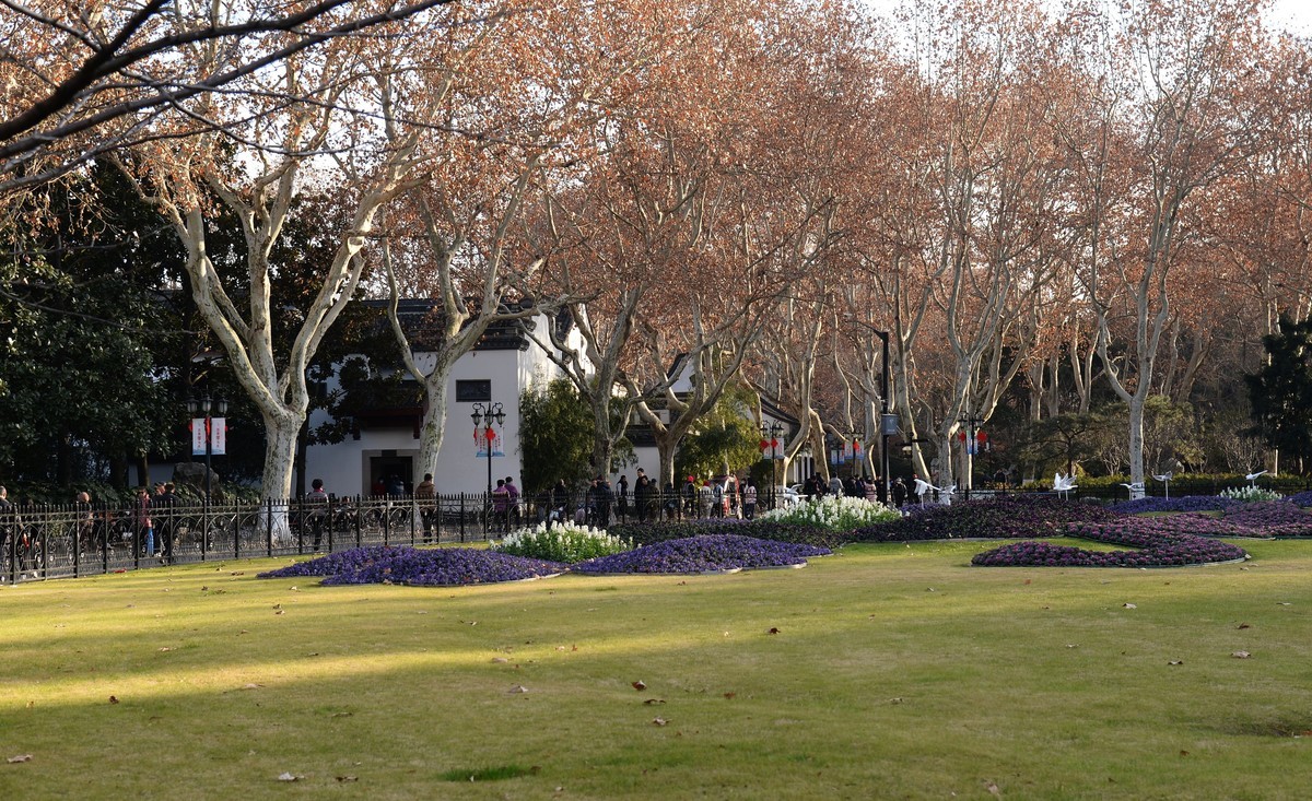 冬园夕辉（五）