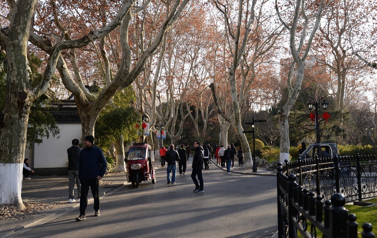 冬园夕辉（五）