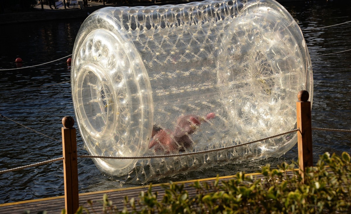 冬园夕辉（五）