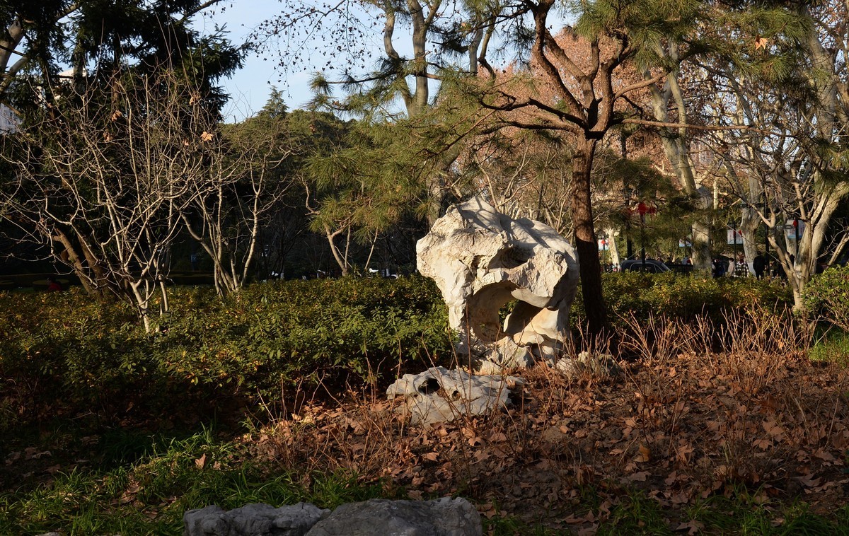 冬园夕辉（五）