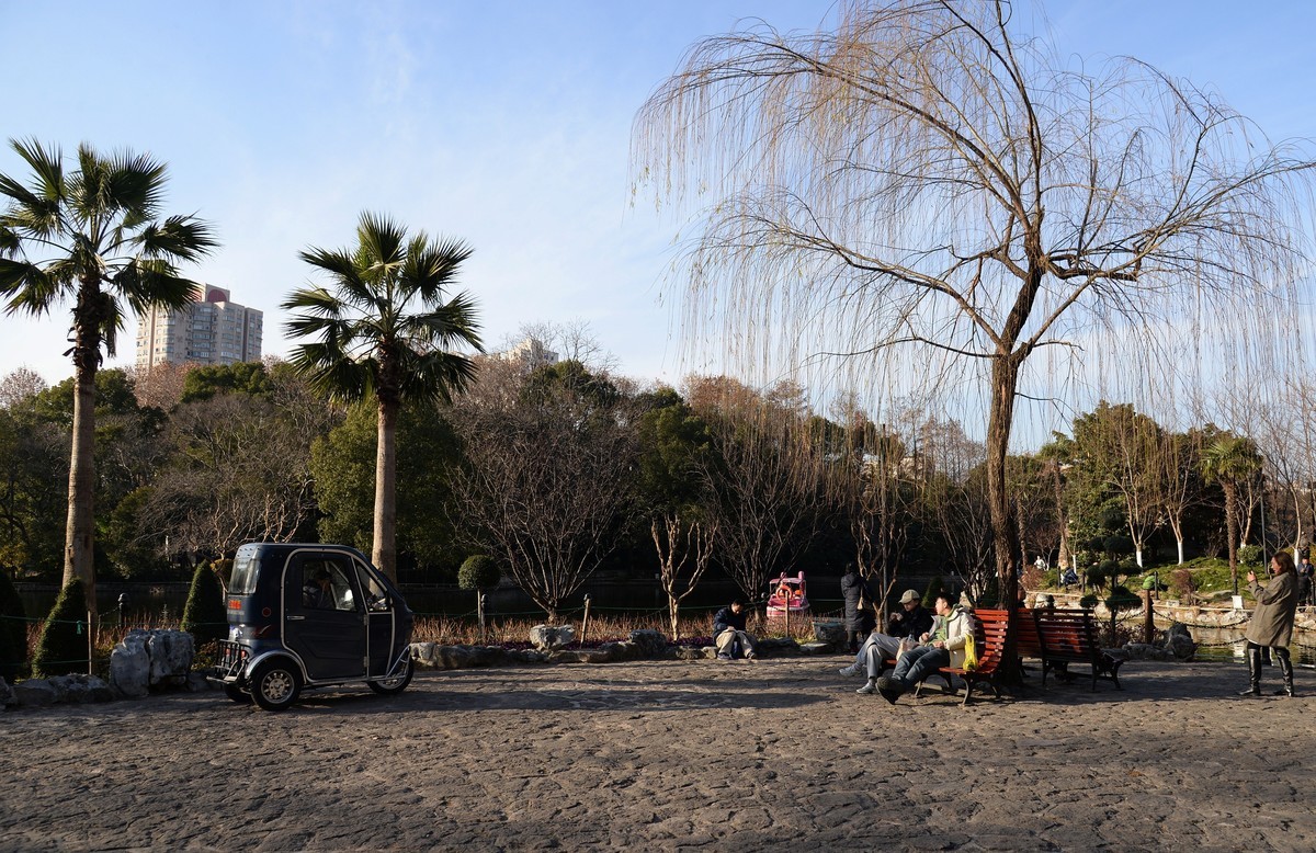 冬园夕辉（五）