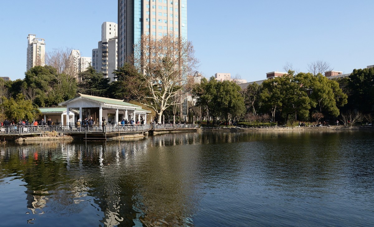 冬园夕辉（五）