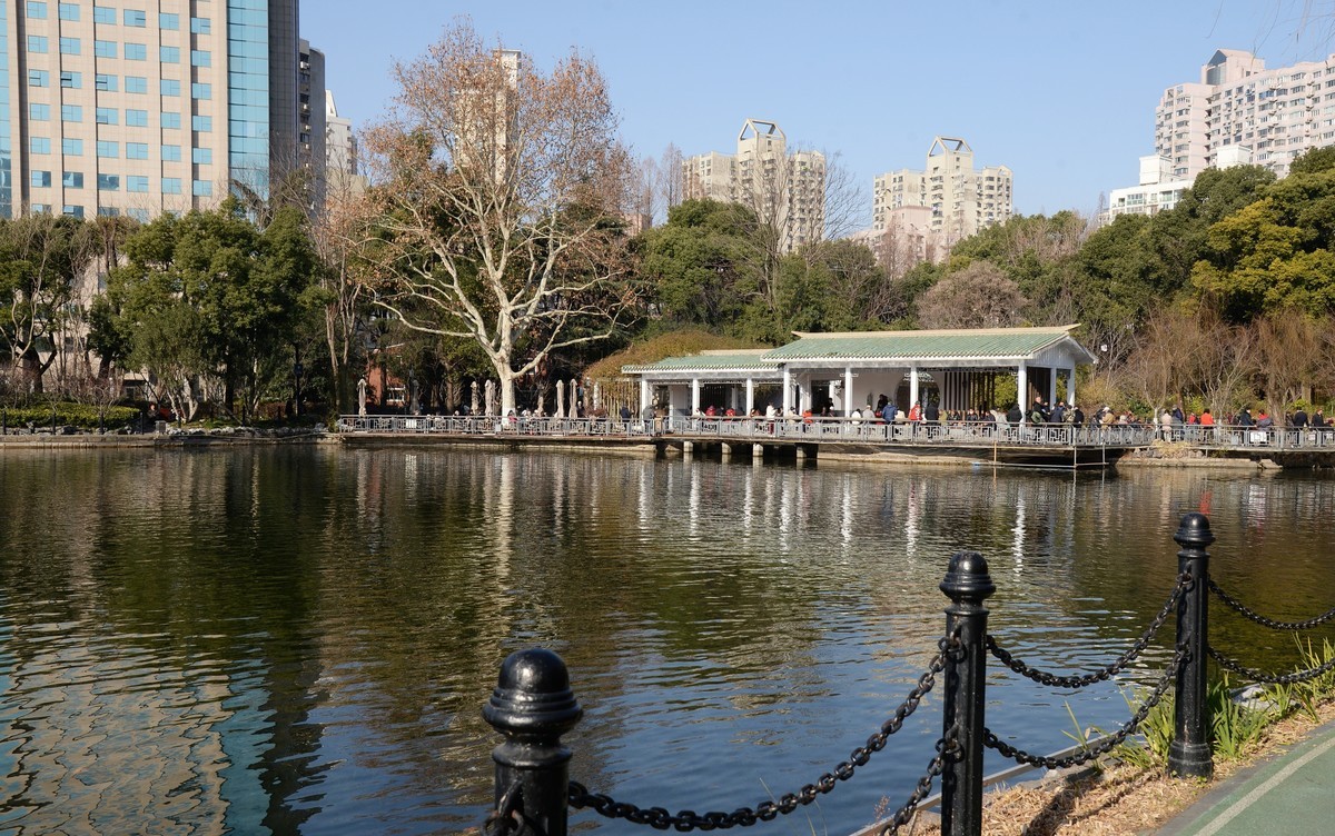 冬园夕辉（五）