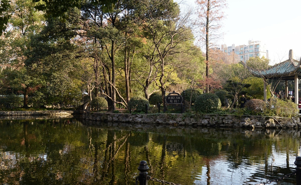 冬园夕辉（五）