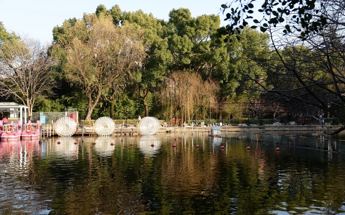 冬园夕辉（五）