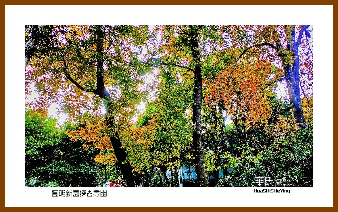 2022南行慢游（广东076）—圆明新园探古寻幽（珠海市）