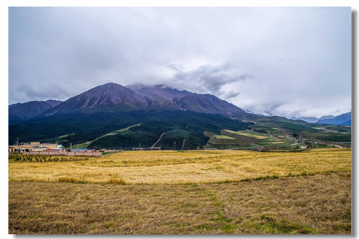 青甘大环之旅——卓尔山下（1）