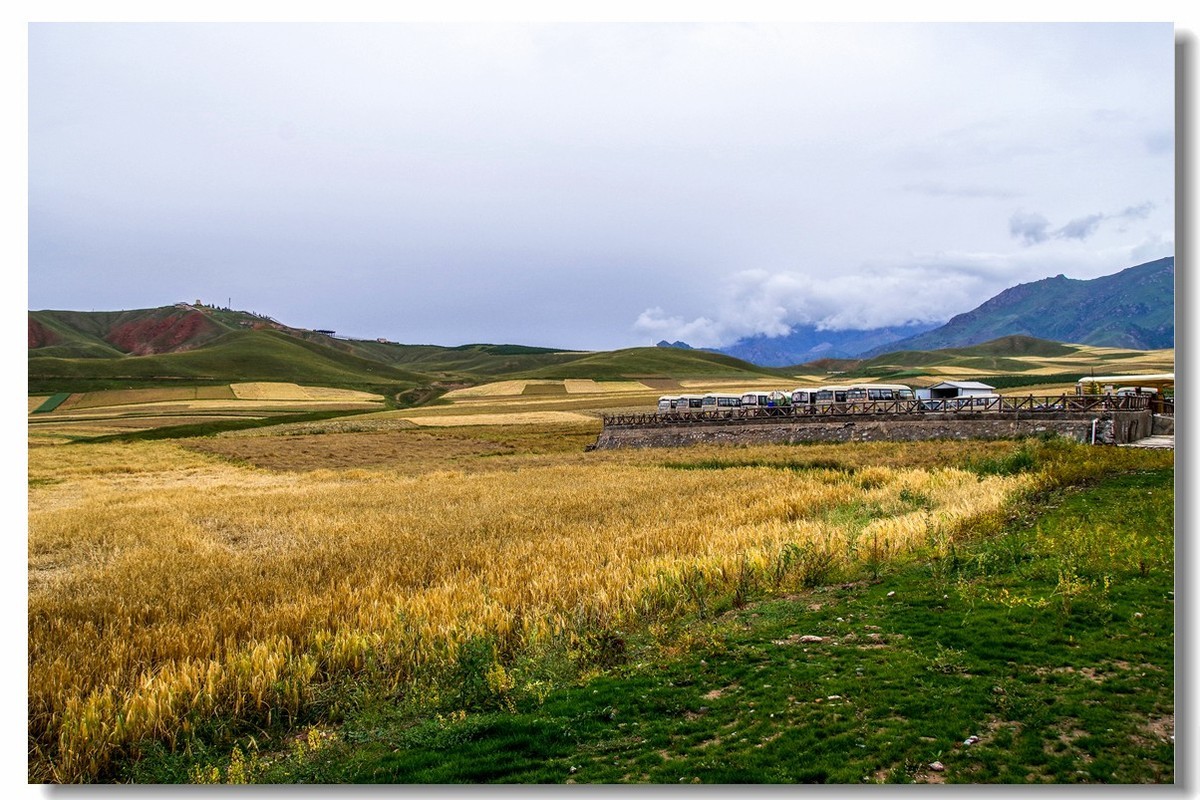 青甘大环之旅——卓尔山下（1）