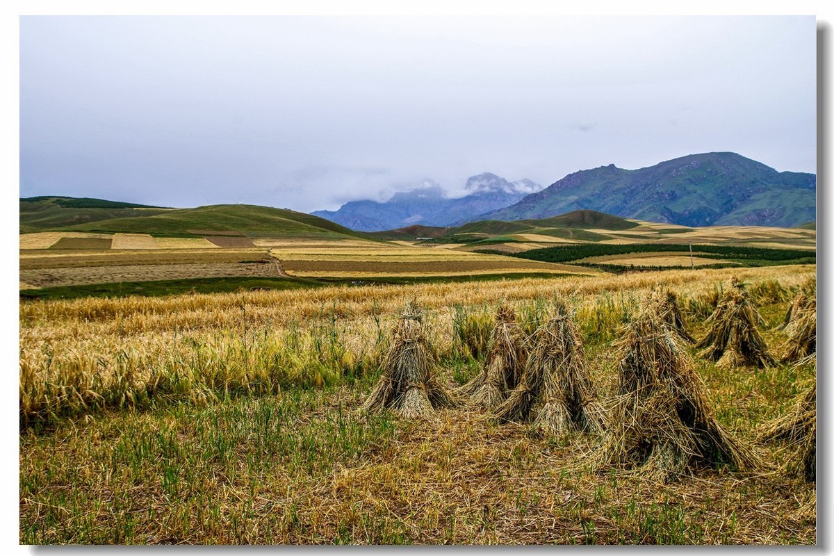 青甘大环之旅——卓尔山下（1）