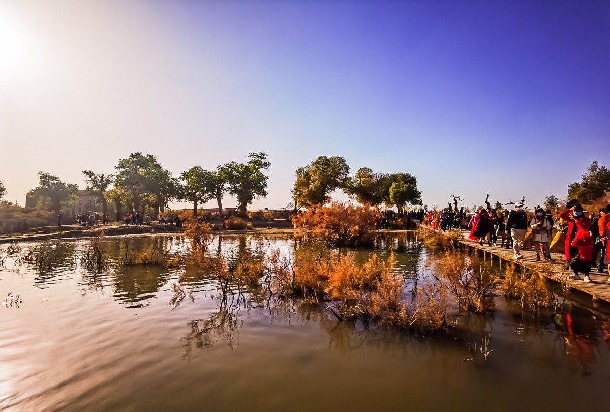 酒泉弱水胡扬林掠影