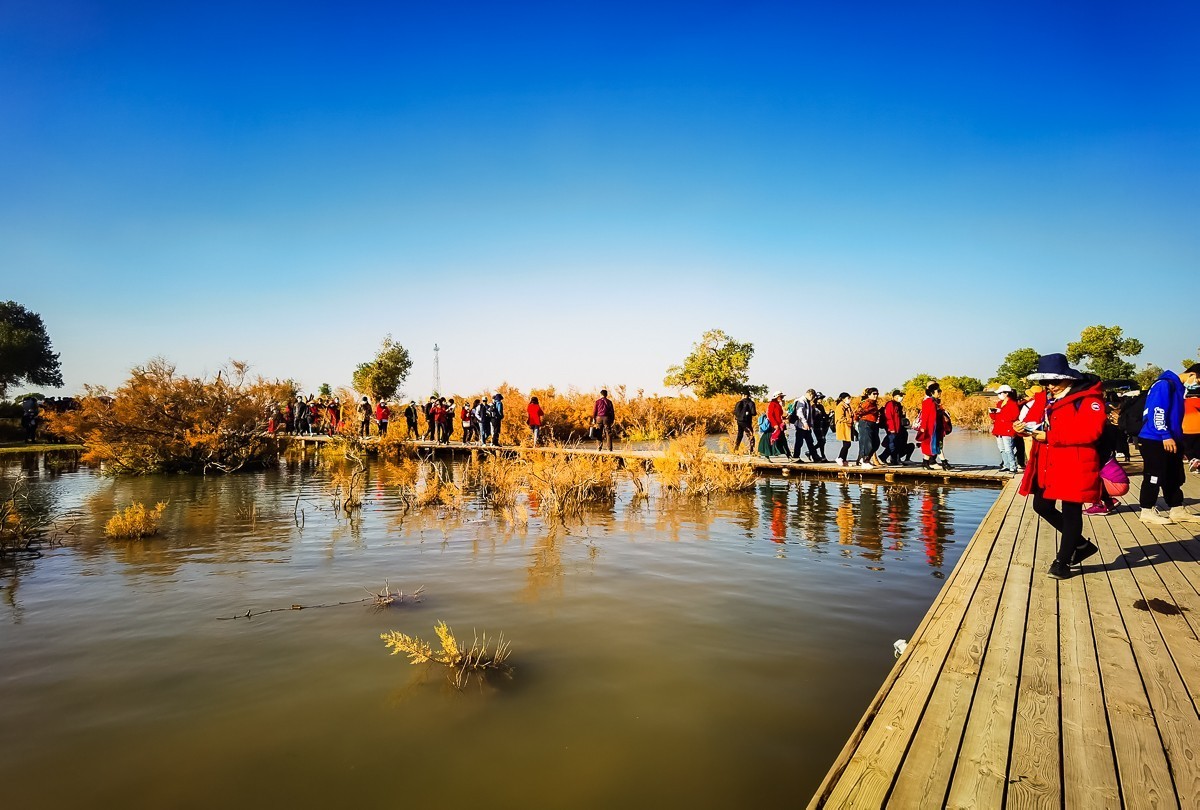 酒泉弱水胡扬林掠影
