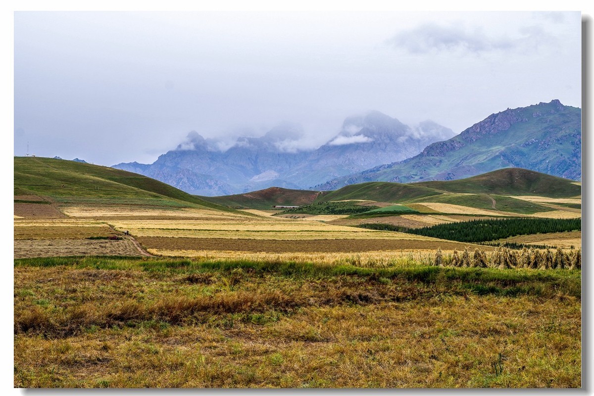 青甘大环之旅——卓尔山下（1）