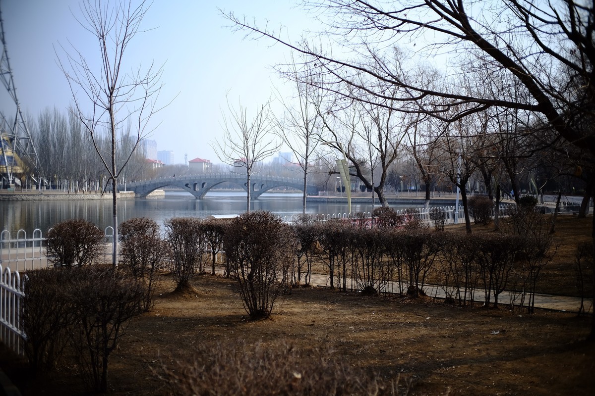 试试定焦镜头效果