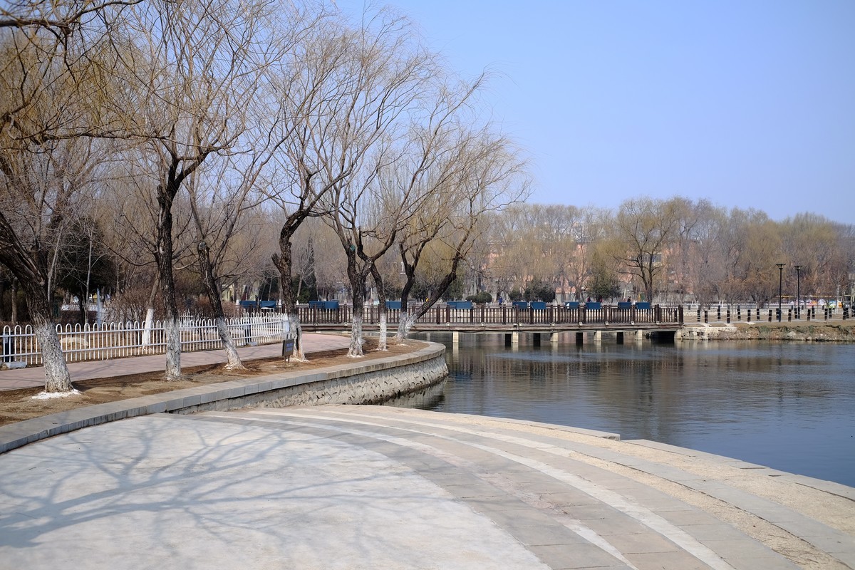 试试定焦镜头效果