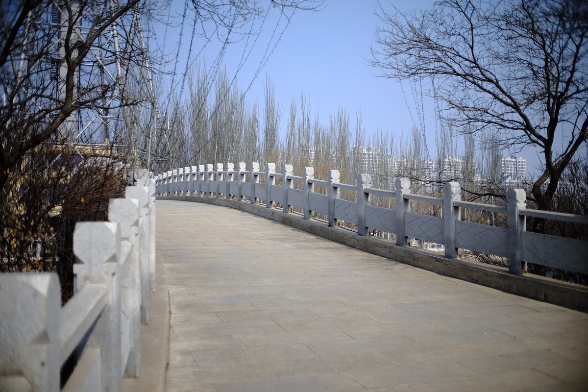 试试定焦镜头效果