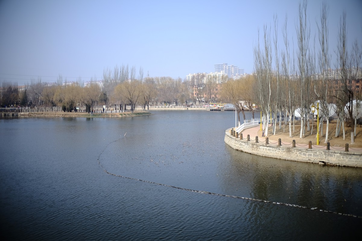 试试定焦镜头效果