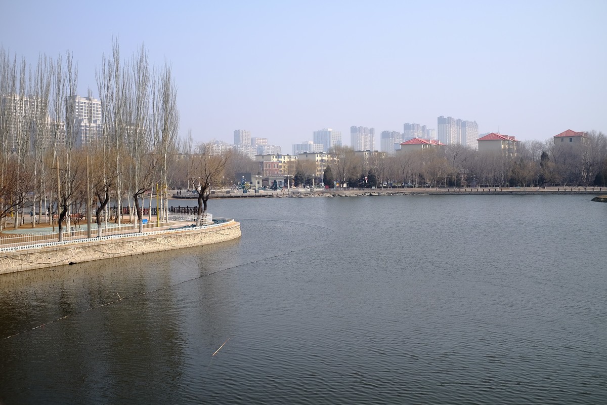 试试定焦镜头效果