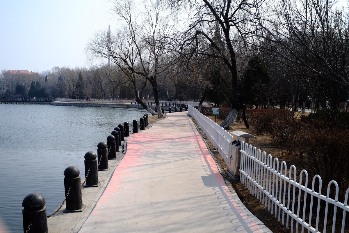 试试定焦镜头效果