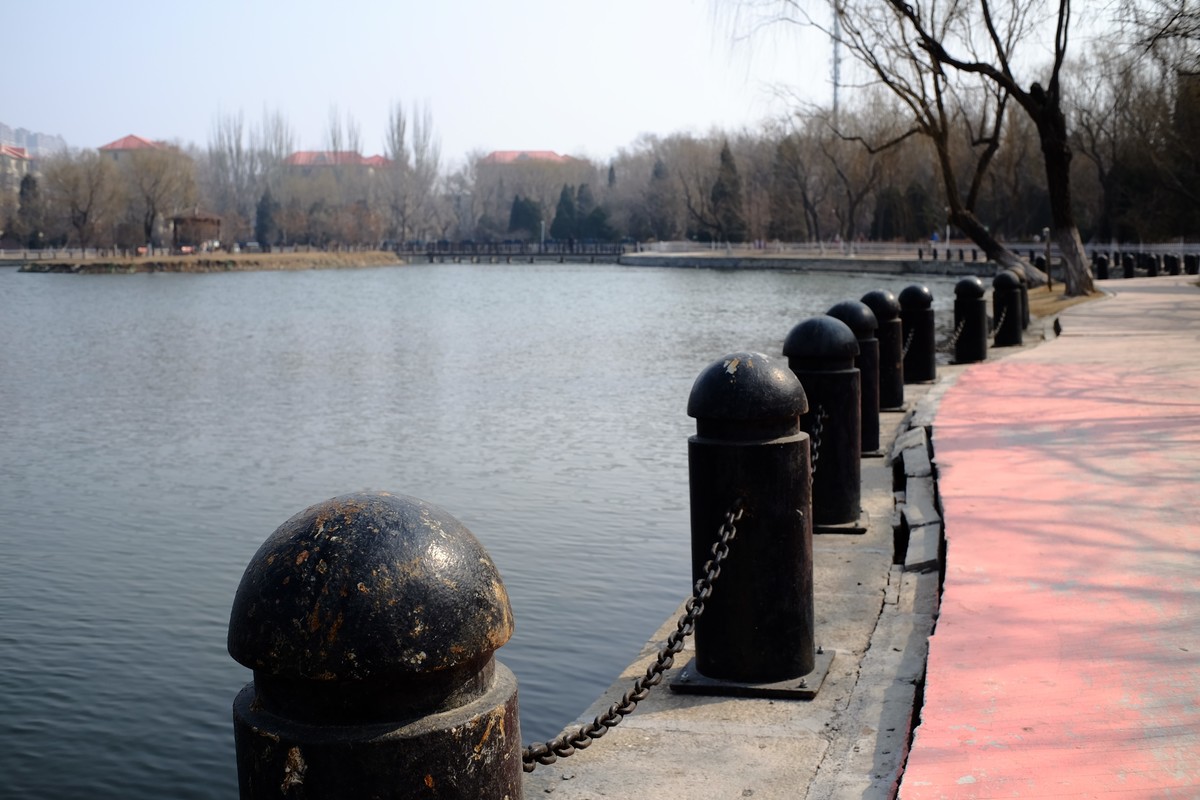 试试定焦镜头效果