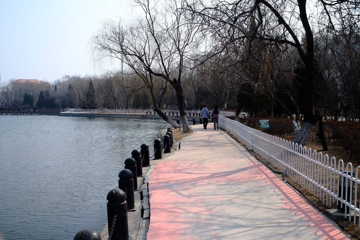 试试定焦镜头效果