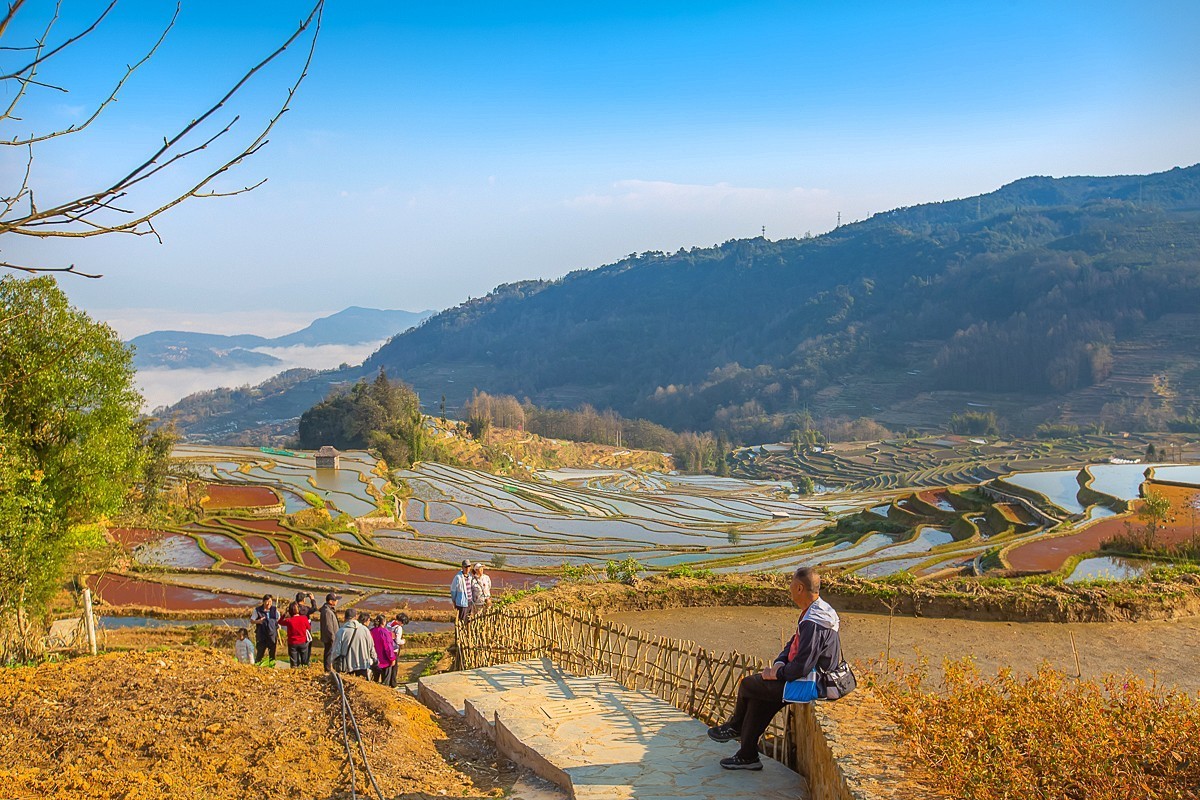 2025-04-30云南元阳中福庄梯田（一）