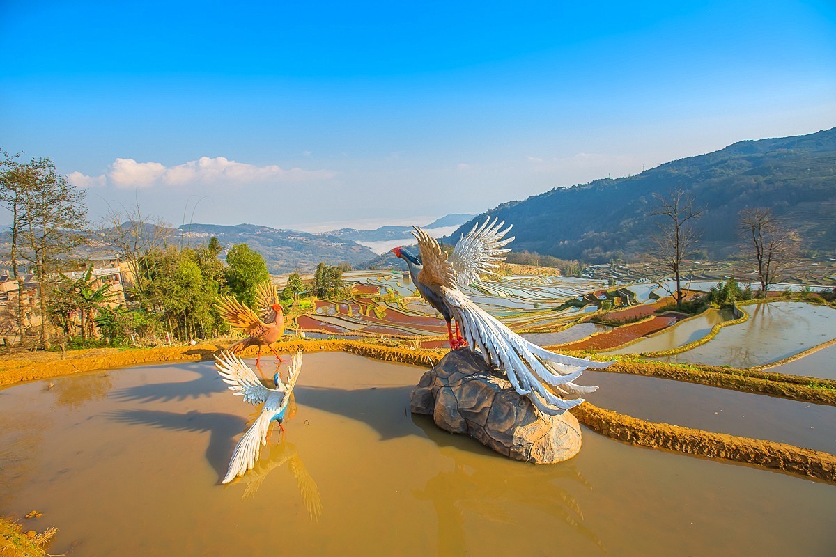 2025-04-30云南元阳中福庄梯田（一）