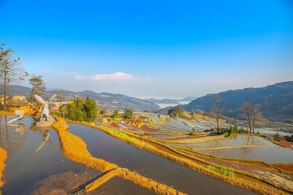 2025-04-30云南元阳中福庄梯田（一）