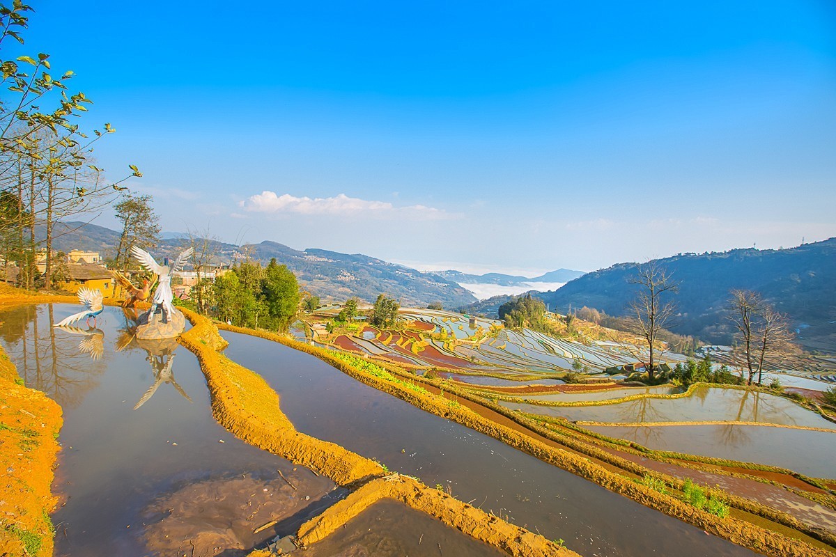 2025-04-30云南元阳中福庄梯田（一）