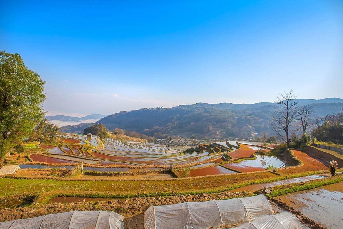 2025-04-30云南元阳中福庄梯田（一）