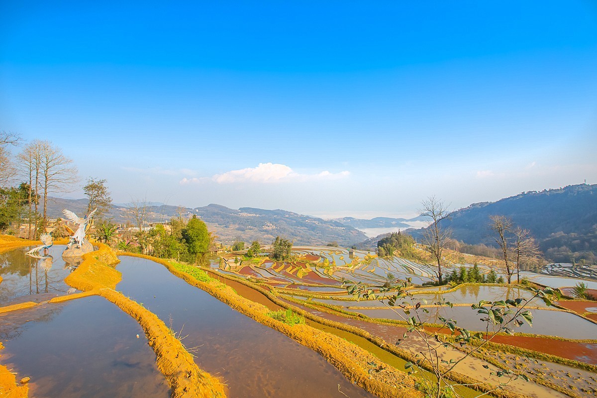 2025-04-30云南元阳中福庄梯田（一）