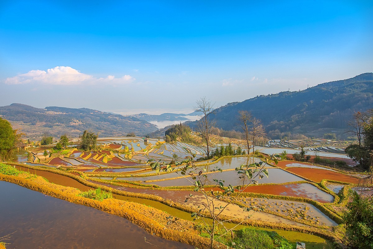2025-04-30云南元阳中福庄梯田（一）