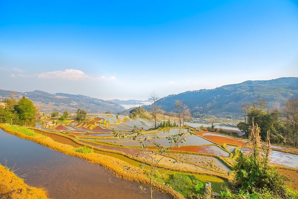 2025-04-30云南元阳中福庄梯田（一）