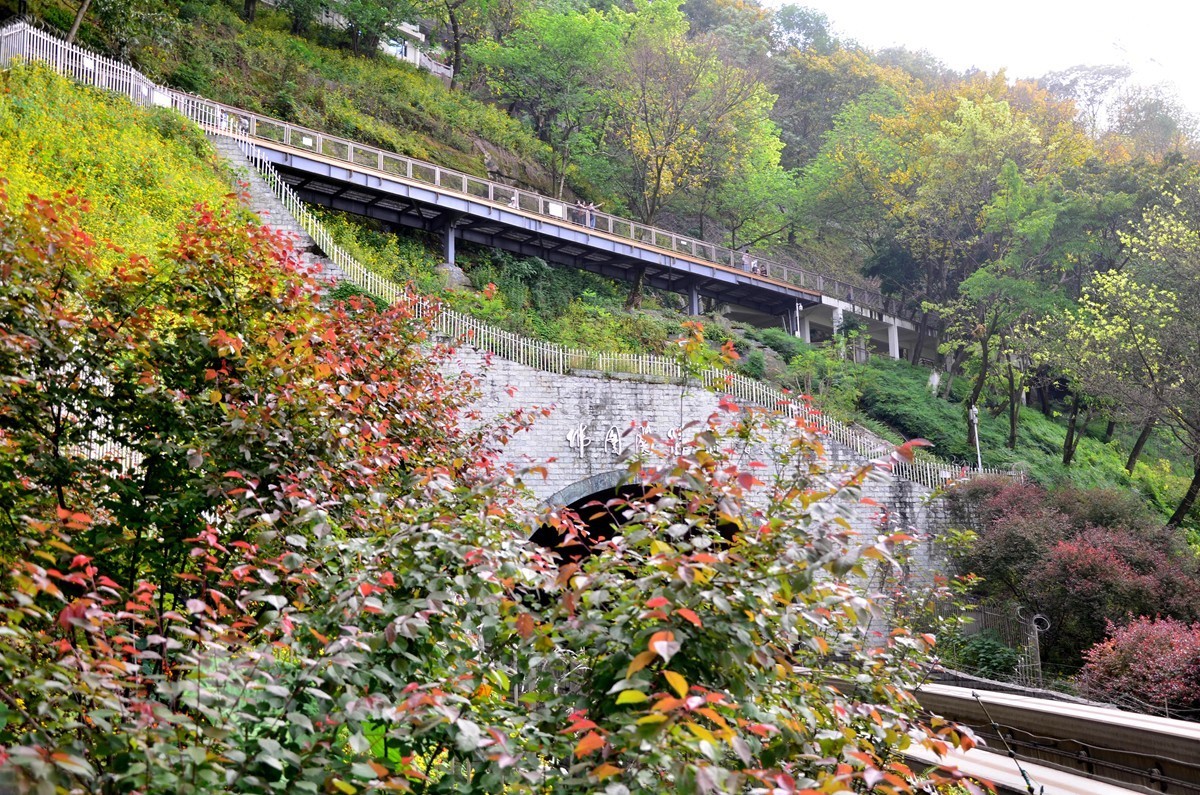 重庆主城“半山崖线”风景 (六)