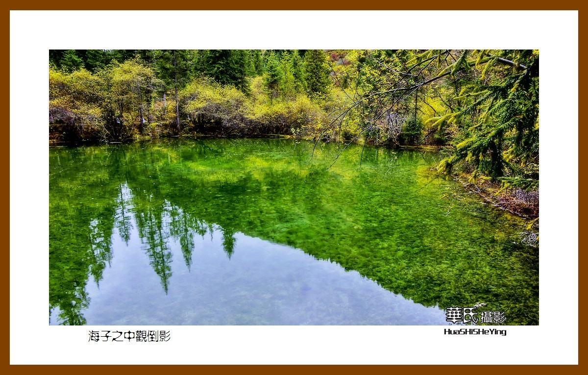 2020西西南北行游走川西168——海子之中观倒影（阿坝州松潘县牟尼沟）