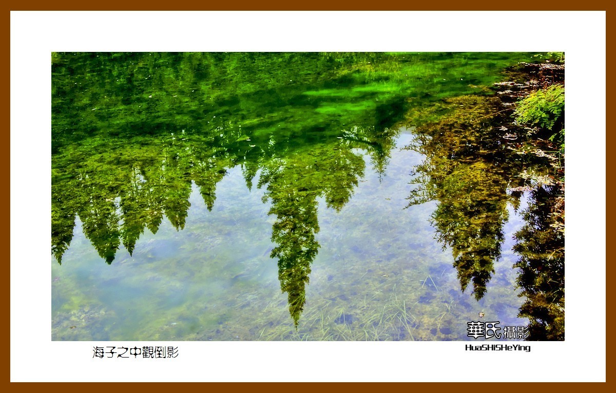 2020西西南北行游走川西168——海子之中观倒影（阿坝州松潘县牟尼沟）