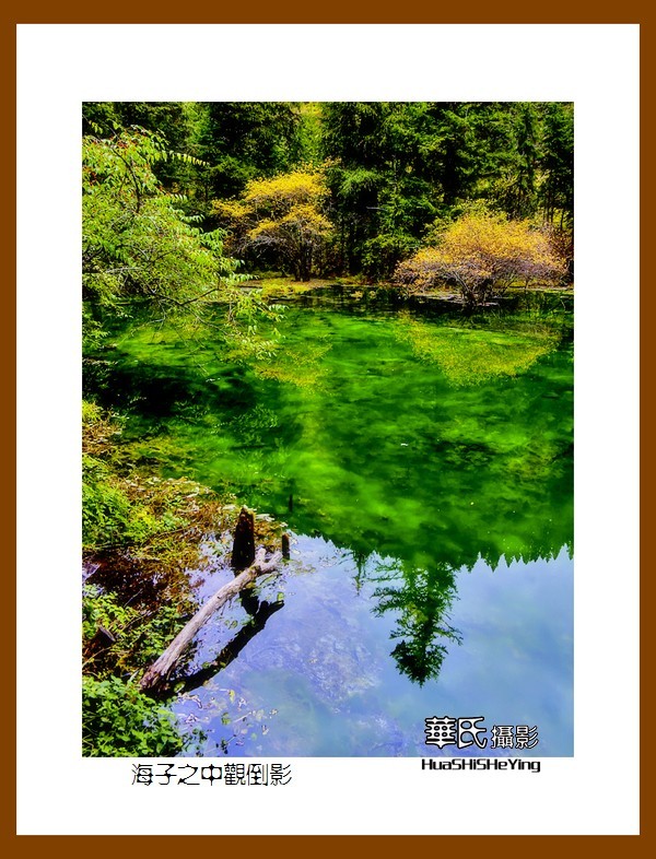 2020西西南北行游走川西168——海子之中观倒影（阿坝州松潘县牟尼沟）