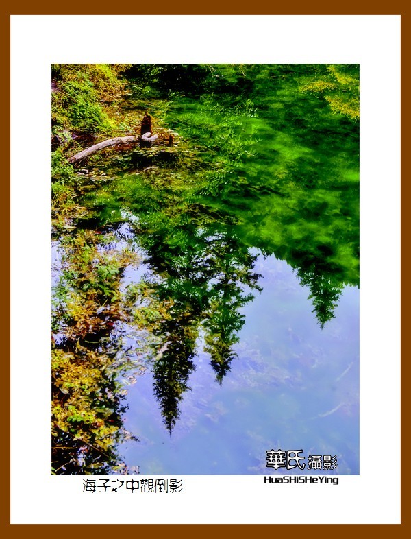 2020西西南北行游走川西168——海子之中观倒影（阿坝州松潘县牟尼沟）