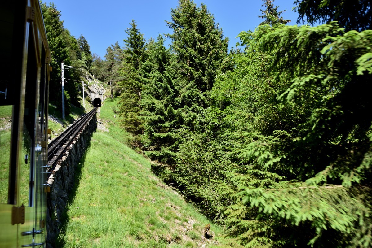 火车环瑞士之旅——皮拉图斯山掠影【1】