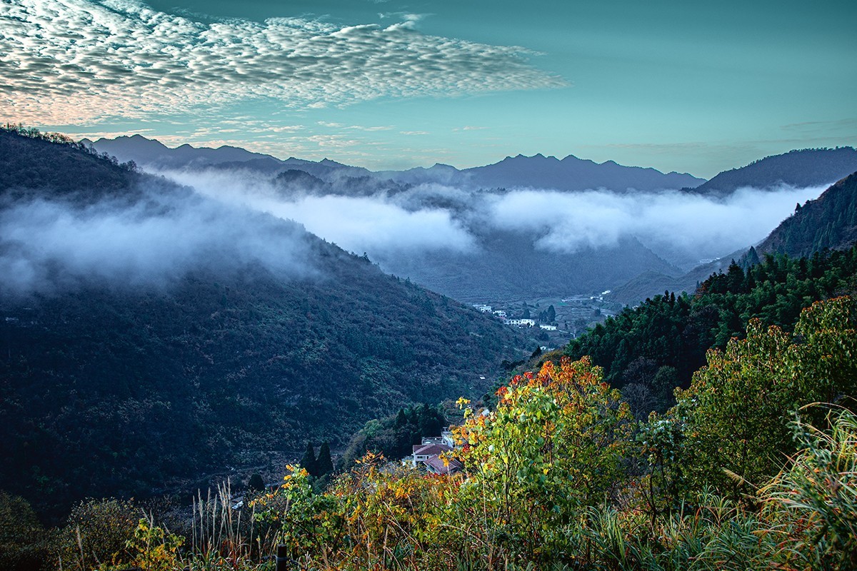 等到满山红叶时