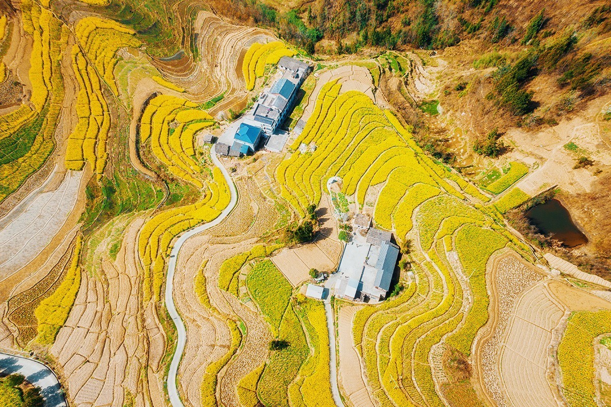 春回大地（请假）