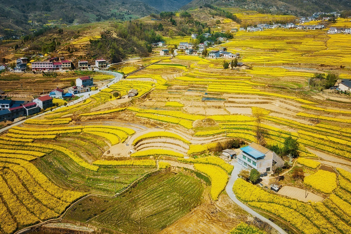 春回大地（请假）