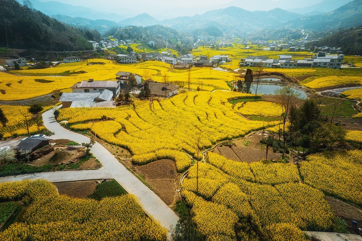 春回大地（请假）