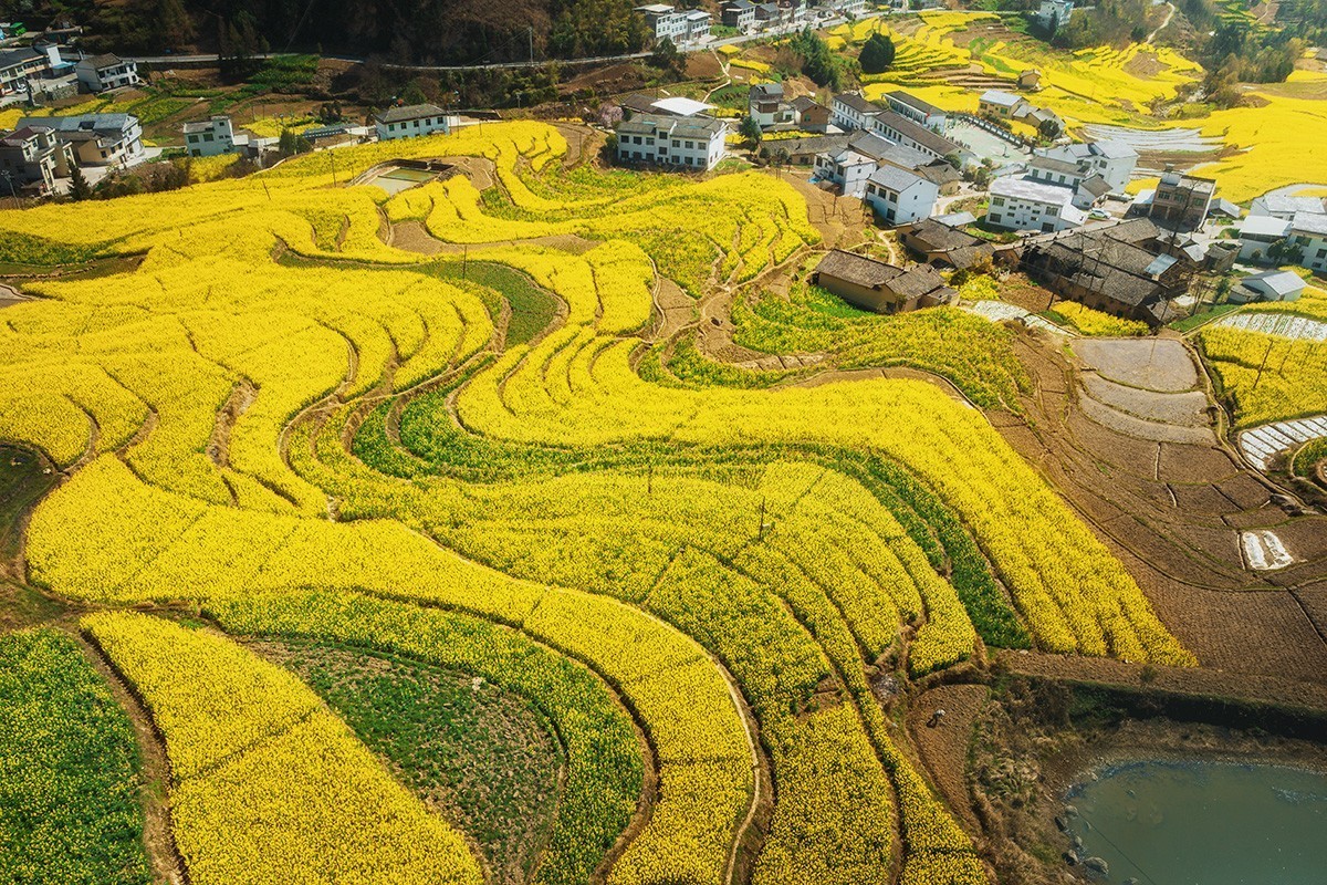 春回大地（请假）