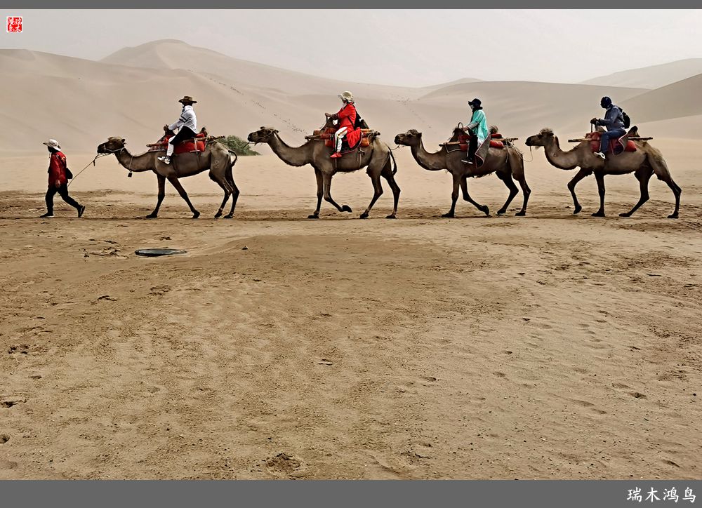 【甘青大环线】10.鸣沙山月牙泉偶遇沙尘暴