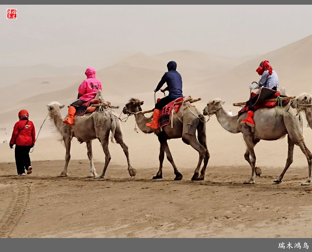 【甘青大环线】10.鸣沙山月牙泉偶遇沙尘暴