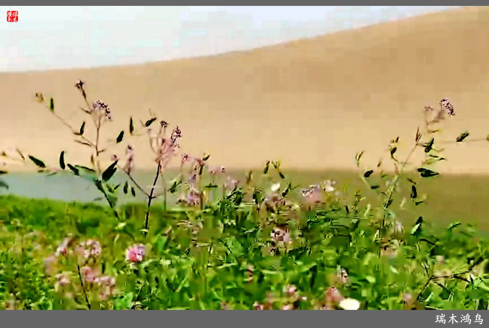 【甘青大环线】10.鸣沙山月牙泉偶遇沙尘暴