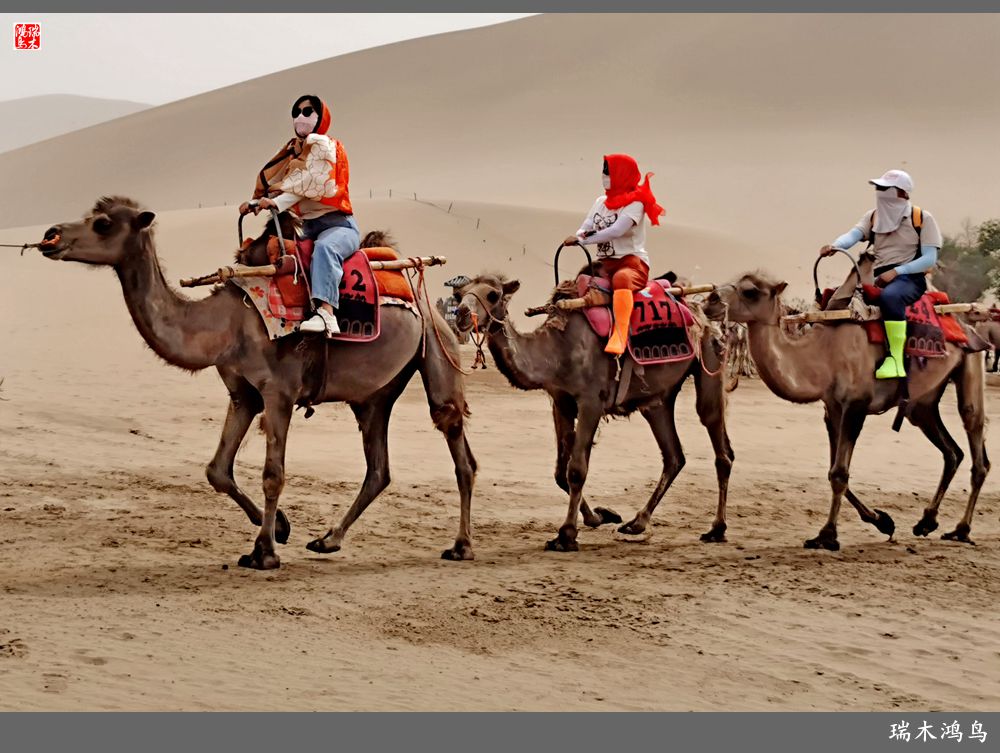 【甘青大环线】10.鸣沙山月牙泉偶遇沙尘暴